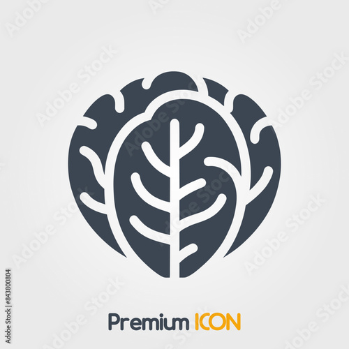 Napa cabbage Icon