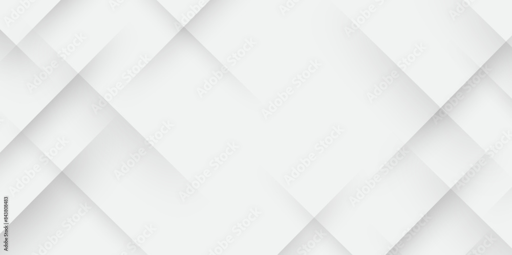 Fototapeta premium Elegant abstract background with grey lines with shadow. modern abstract gray line light dynamic shape composition background. Gray and white geometric background with copy space. , Modern design.
