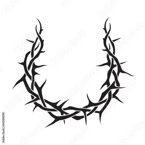 black crown of thorns image isolated on white background