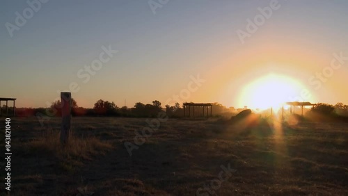 Wallpaper Mural Silhouette View of a Tree Stump at Sunset. Torontodigital.ca