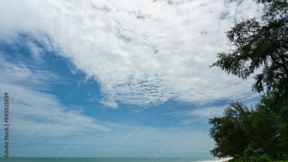 Blue sky white clouds Cloudscape timelapse Amazing summer blue sky Time Lapse in Nature good weather day background 4-K Blue sky white clouds Cloudscape timelapse Amazing summer blue sky Time Lapse in Nature good weather day background 4-K
