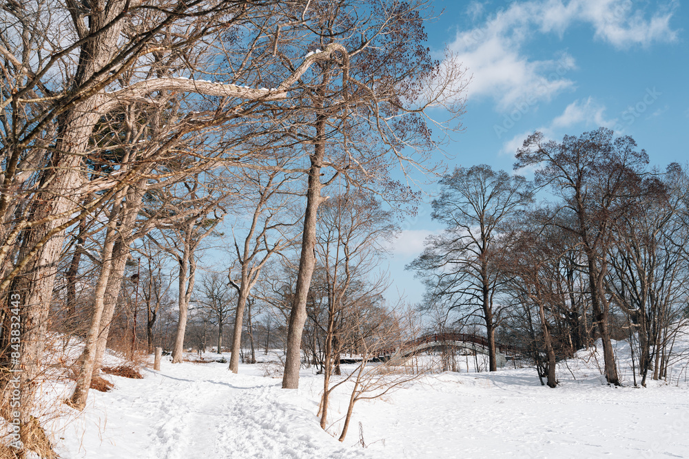 Winter snow lake walkway at Onuma Quasi-National Park in Hokkaido, Japan