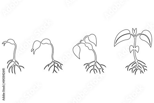 Continuous single line art drawing of plant growth processing from seed outline vector
