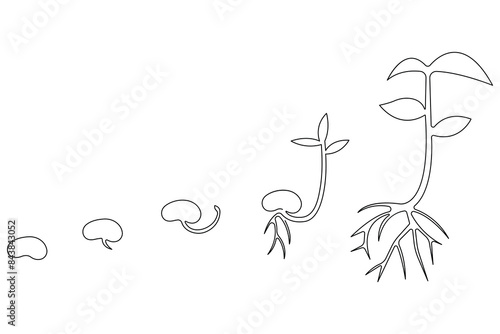 Continuous single line art drawing of plant growth processing from seed outline vector
