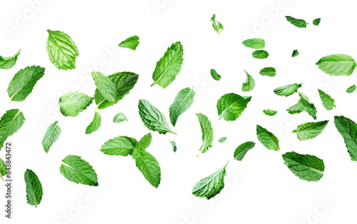Whimsical Green Mint Leaves in Flight