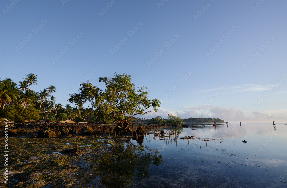 Landscape with mangrove trees on low tide coral beach. Landscape with mangrove trees on low tide coral beach.