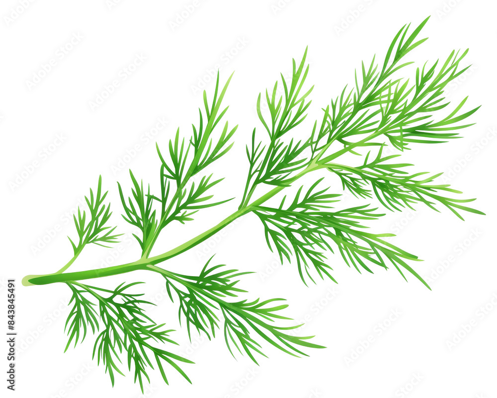 A single, fresh sprig of cilantro isolated on a black background. A single, fresh sprig of cilantro isolated on a black background.