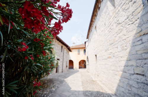 Ancient stone building with blooming bush