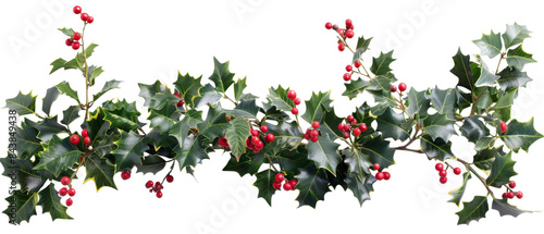 A sprig of holly with red berries.