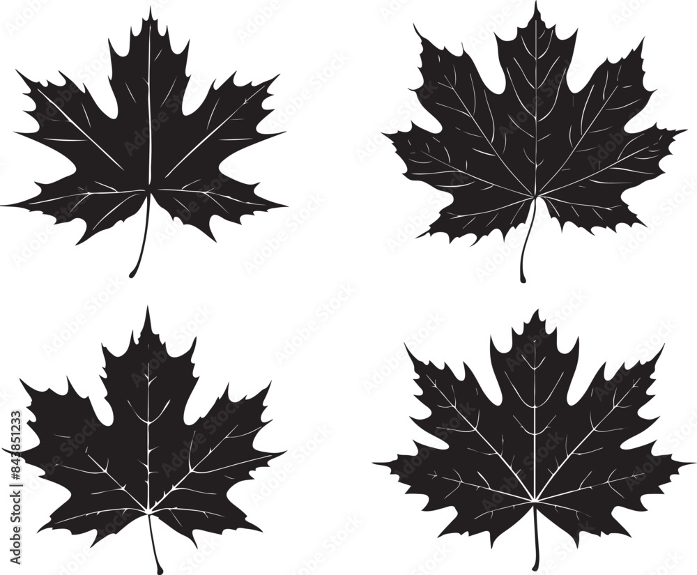 set of maple leaves silhouettes