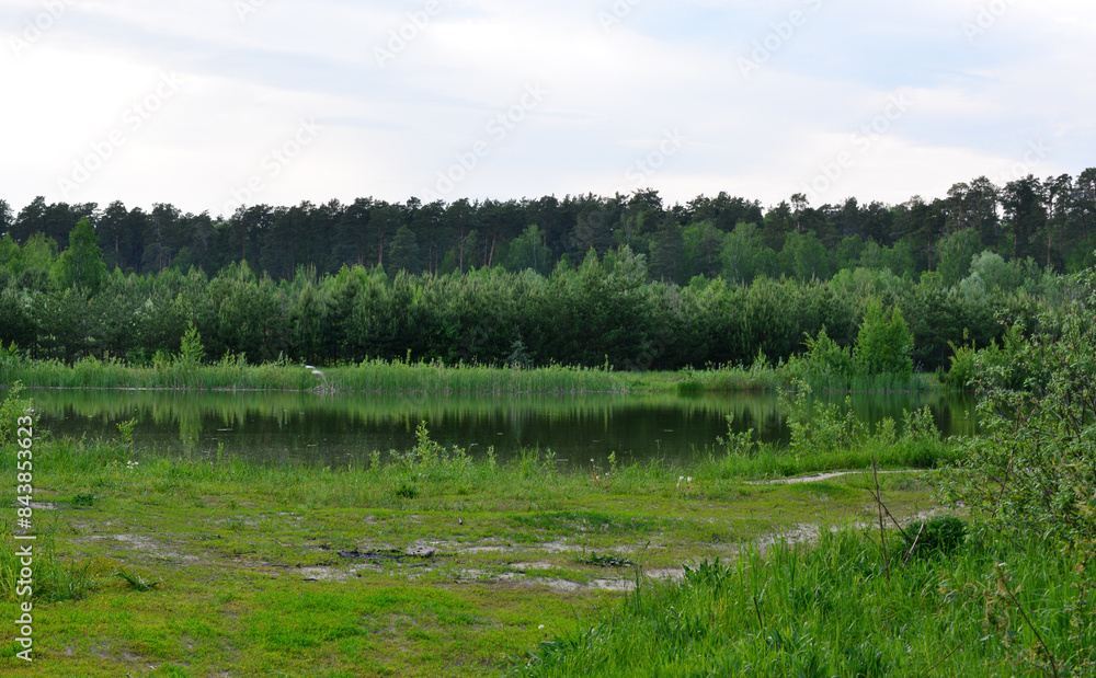 a small pond with trees in the background a small pond with trees in the background