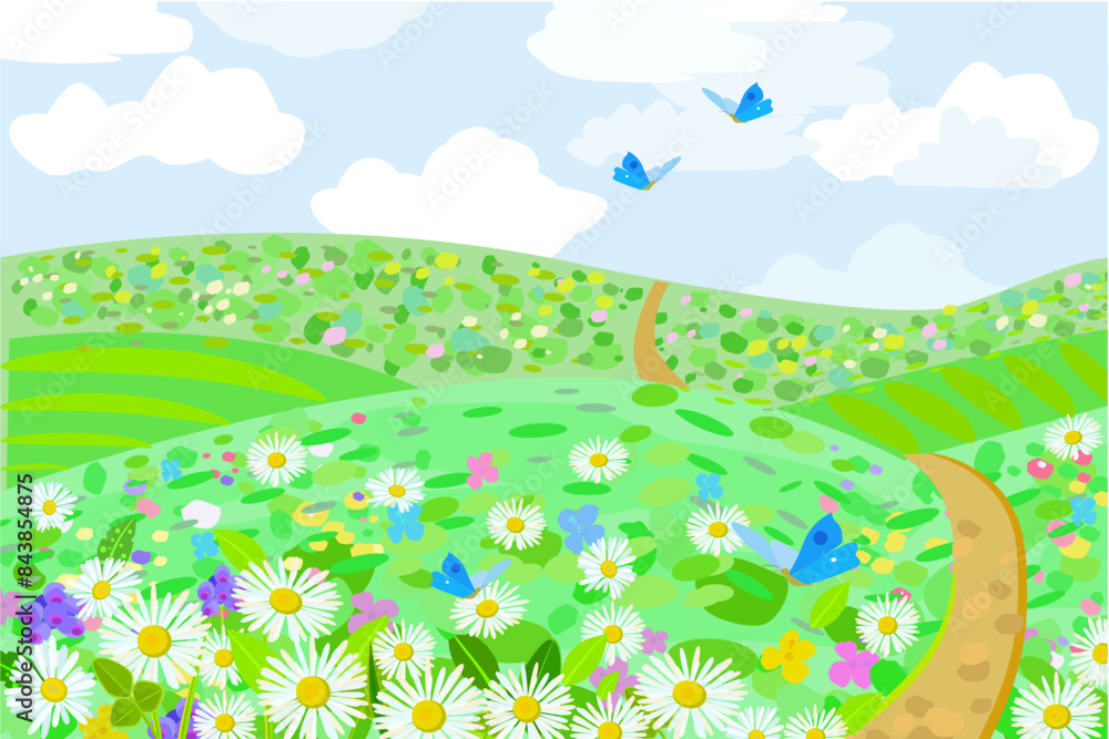 Fototapeta premium cloudy hill scenery with colorful blooming fields, a path and fl
