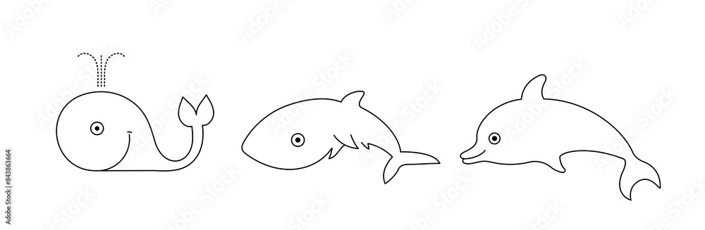 Ocean inhabitants: whale, shark and dolphin. Outline vector monochrome drawing. Ocean inhabitants: whale, shark and dolphin. Outline vector monochrome drawing.