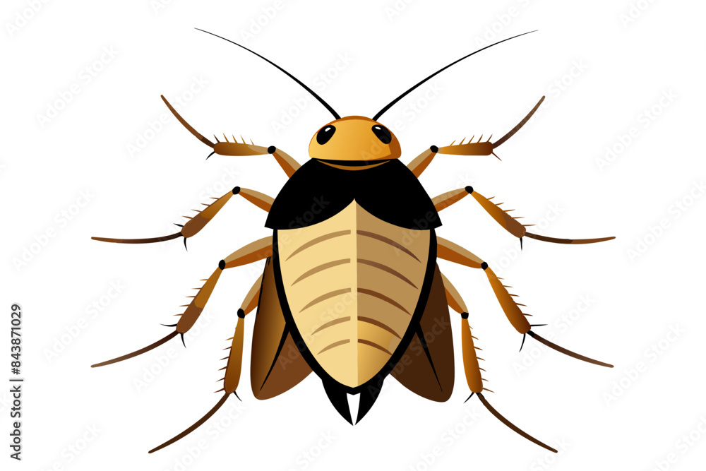 Cockroach  vector artwork and illustration svg file