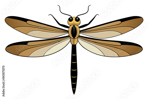 Dragonfly vector artwork and illustration svg file