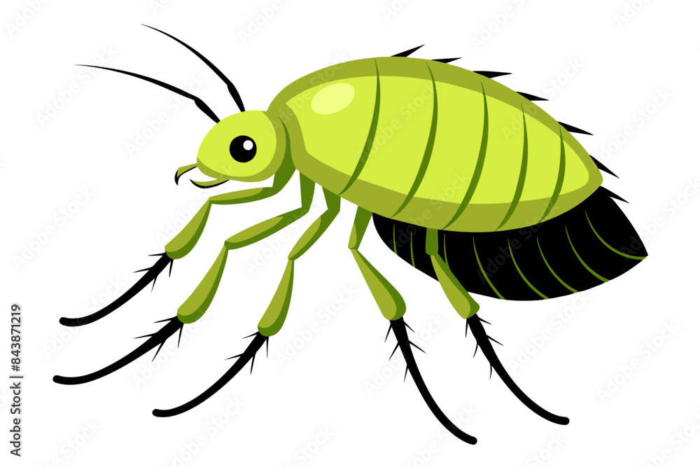 Flea vector artwork and illustration svg file Flea vector artwork and illustration svg file