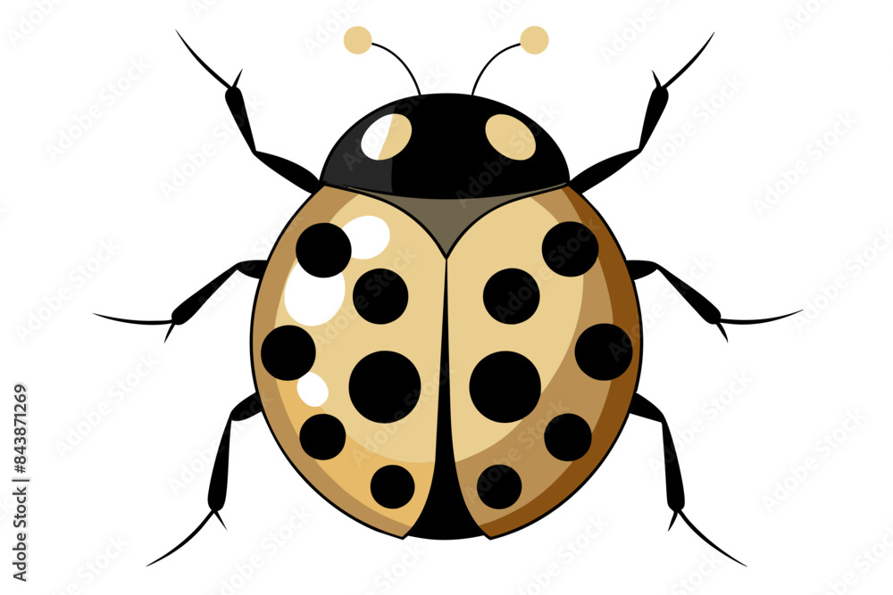 Ladybug vector artwork and illustration svg file Ladybug vector artwork and illustration svg file
