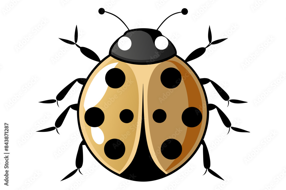 Ladybug vector artwork and illustration svg file Ladybug vector artwork and illustration svg file