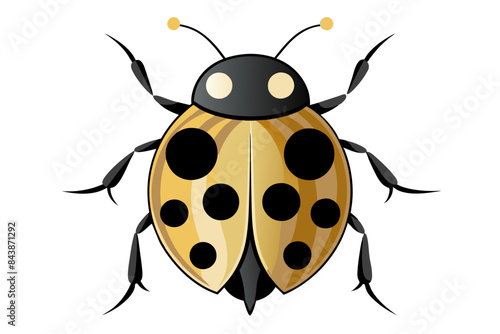 Ladybug  vector artwork and illustration svg file © Rashed Rana