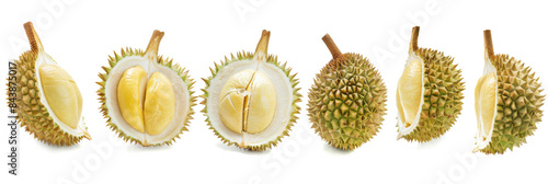 Set of durians tropical fruit illustration on white background. photo