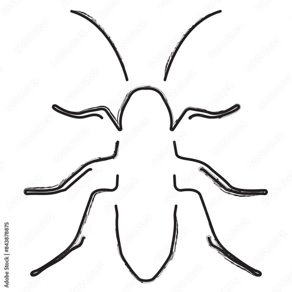 cockroach brush strokes on a white background. Vector illustration. cockroach brush strokes on a white background. Vector illustration.