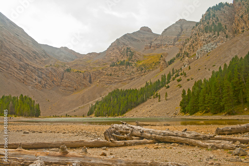 Alpine lake of the Pyrenees, with fir forest on the slopes. With an ancient trunk in close view. photo