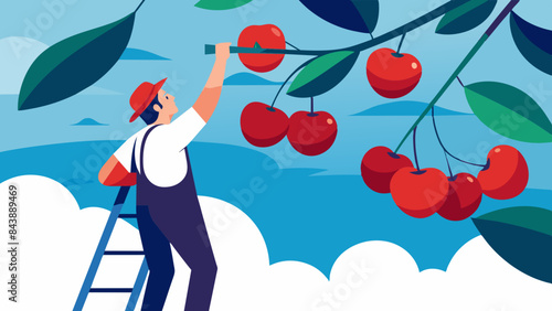 Farmer Harvesting Apples in Orchard - Agriculture, Growth, Harvest