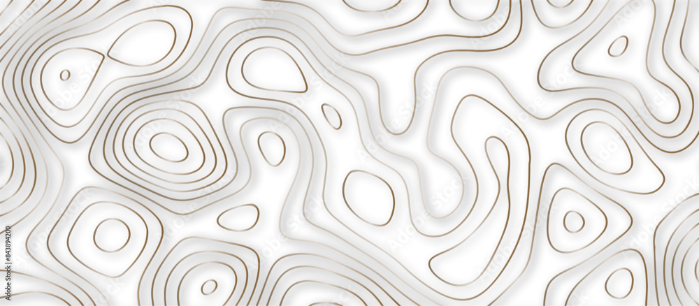Abstract 3d wave paper curved reliefs background .gradient multicolor wave curve lines banner background design .3d topographic contours map background .Vector 3d geographic contour map. Abstract 3d wave paper curved reliefs background .gradient multicolor wave curve lines banner background design .3d topographic contours map background .Vector 3d geographic contour map.