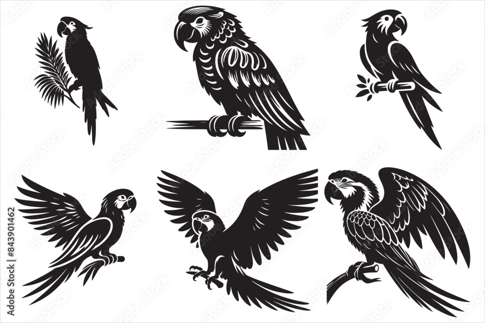 Obraz premium Parrot Bird silhouette vector Illustrator set