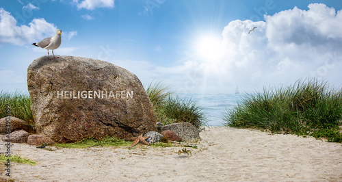Fototapeta Naklejka Na Ścianę i Meble -  Strandweg #2805410.8
