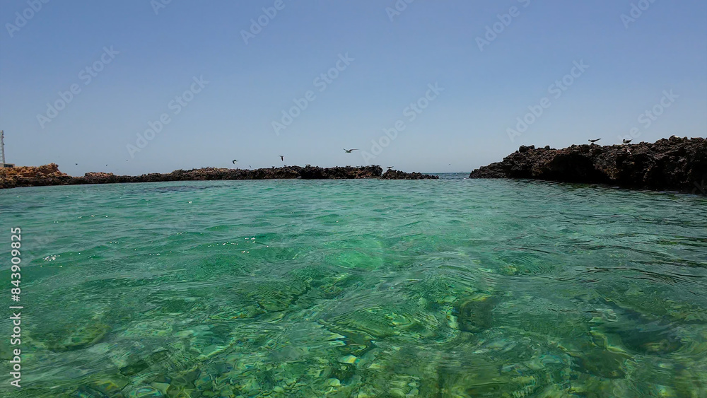 Fototapeta premium Photography small rock island with birds in Oman near Muscat during spring day