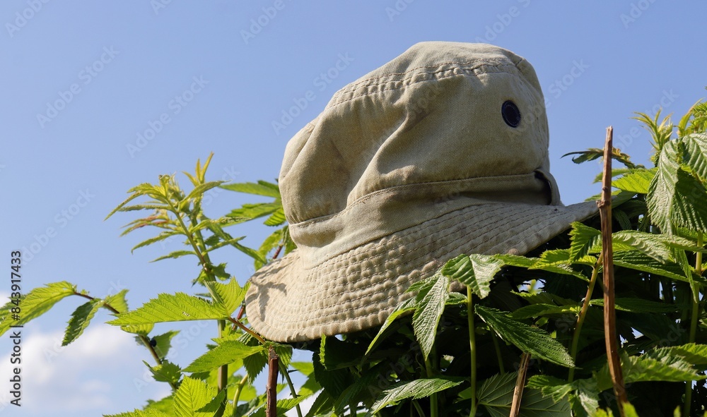 Obraz premium hat on a spring lake at noon