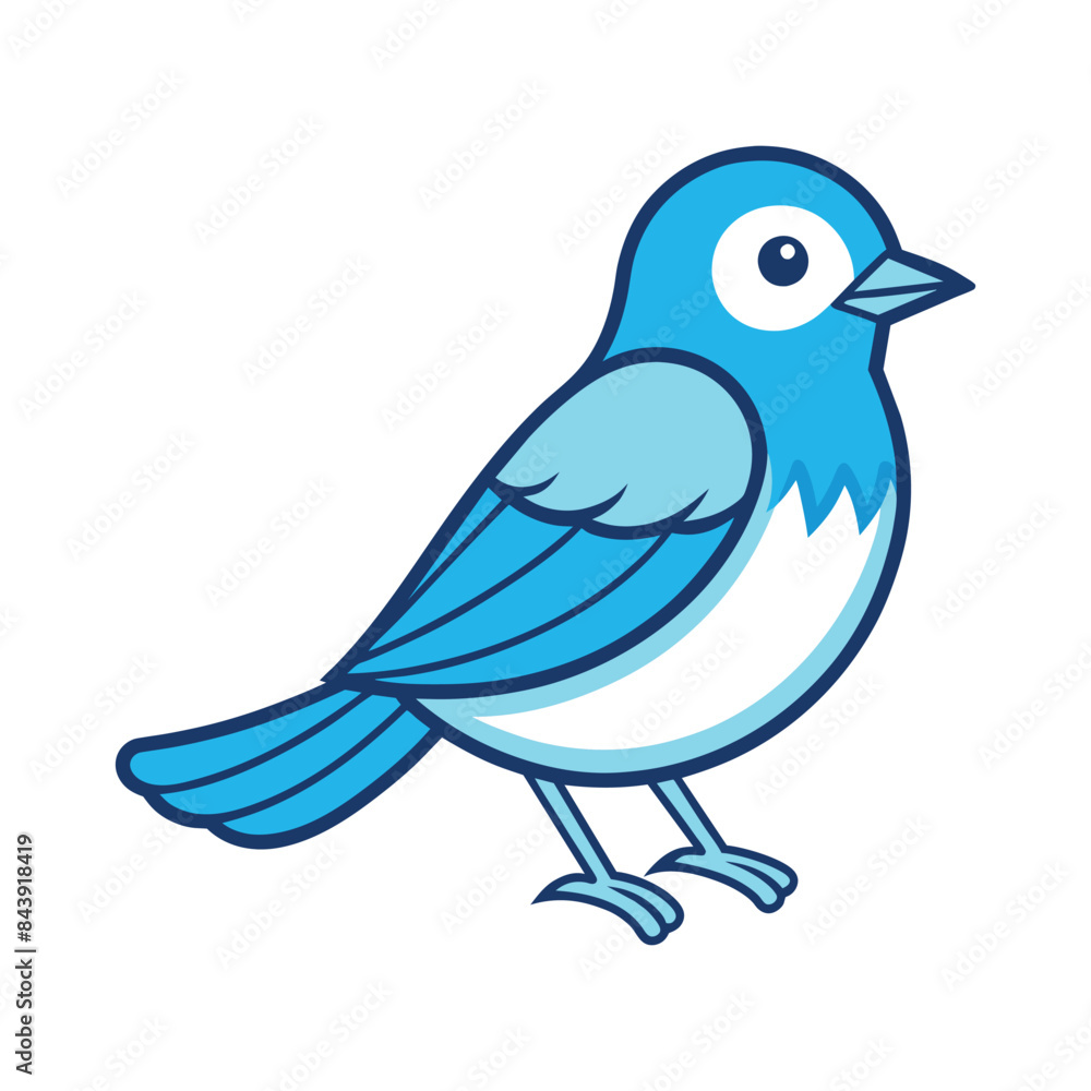 Obraz premium blue bird isolated on white
