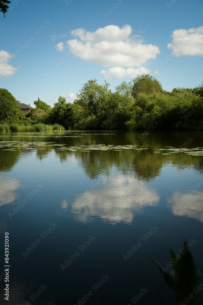 reflection of trees in water reflection of trees in water