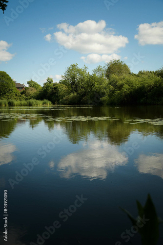 reflection of trees in water