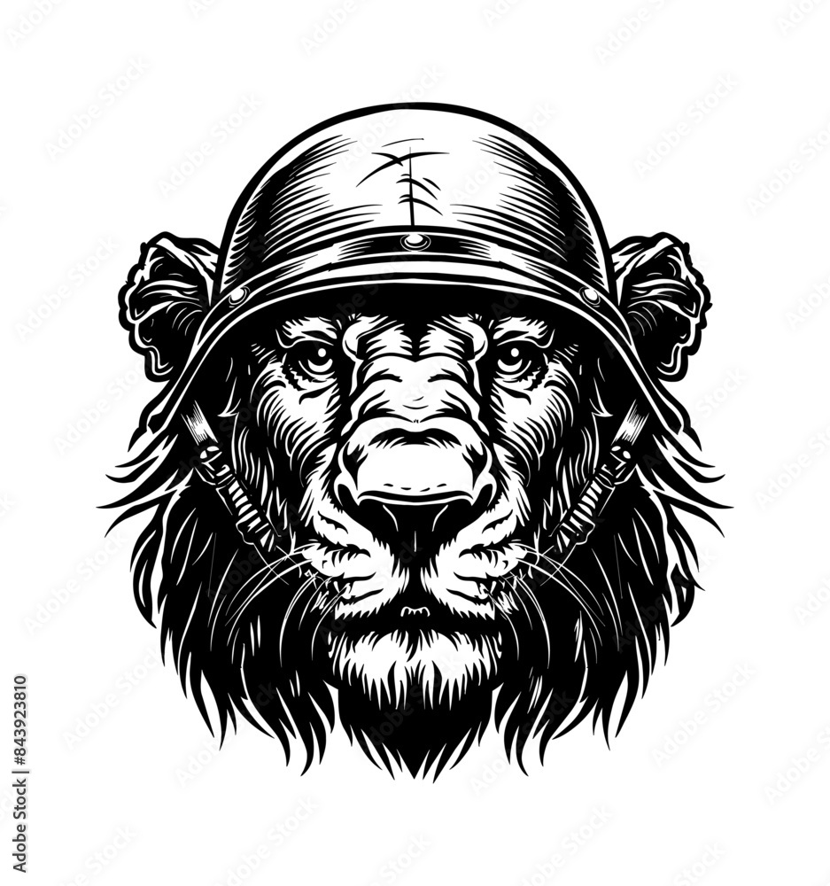 Obraz premium lion, wears retro soldier helmet engraving black and white outline