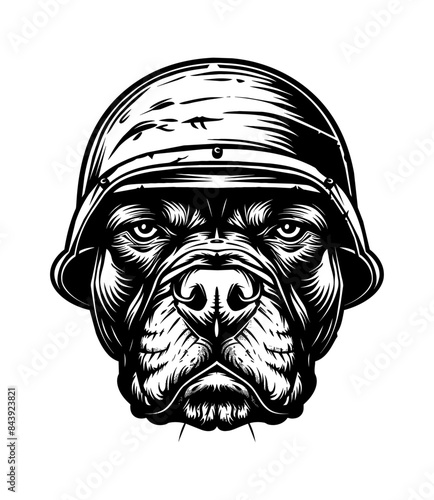 pitbull, wears retro soldier helmet engraving black and white outline