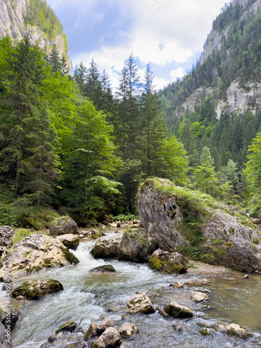 A river through green forest in the mountains under fluffy clouds © Alexandr Macovethi
