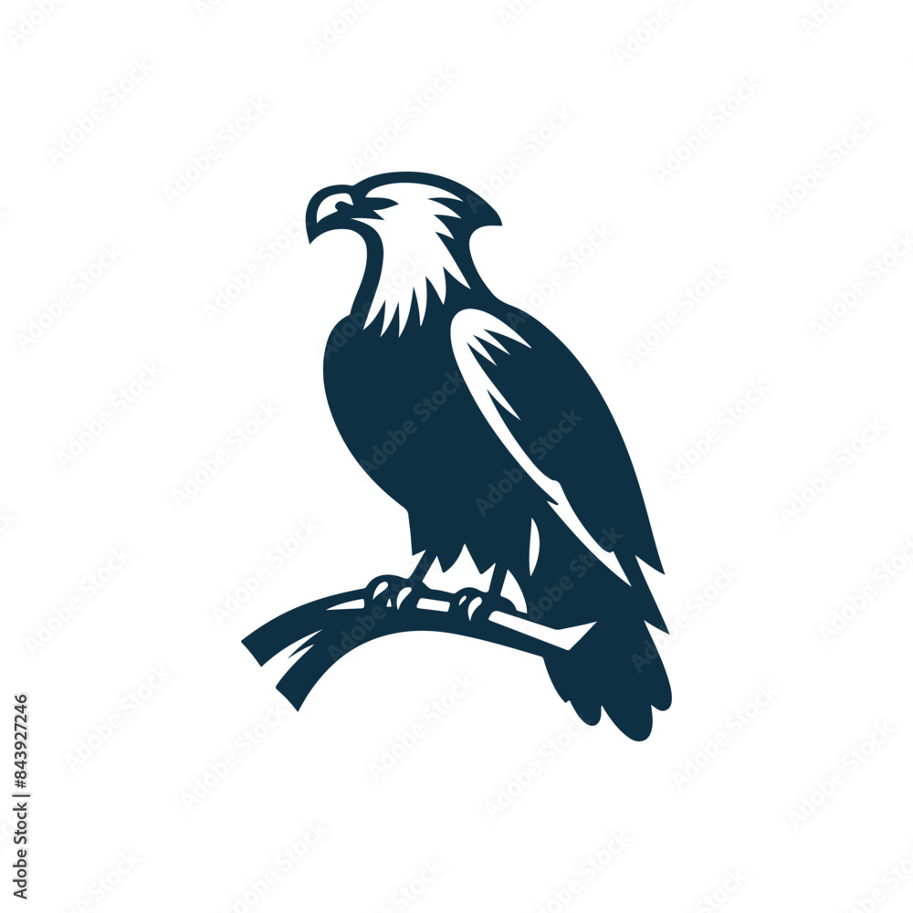 Fototapeta premium Eagle Silhouette Clip art isolated vector illustration on a white background