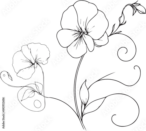 Minimilist single Sweet pea flower drawings, Sweet pea  flower vector art, drawing outline Sweet pea flower tattoo, small Sweet pea flower tattoo, ink illustration clipart isolated on white background