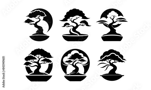 a black and white image of a bonsai tree.