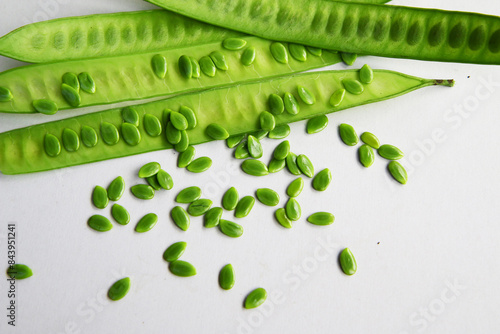 Leucaena leucocepphala on white background.