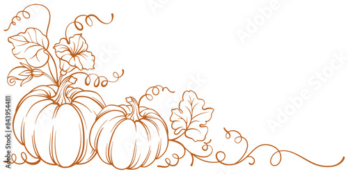 Pumpkin vector illustration	