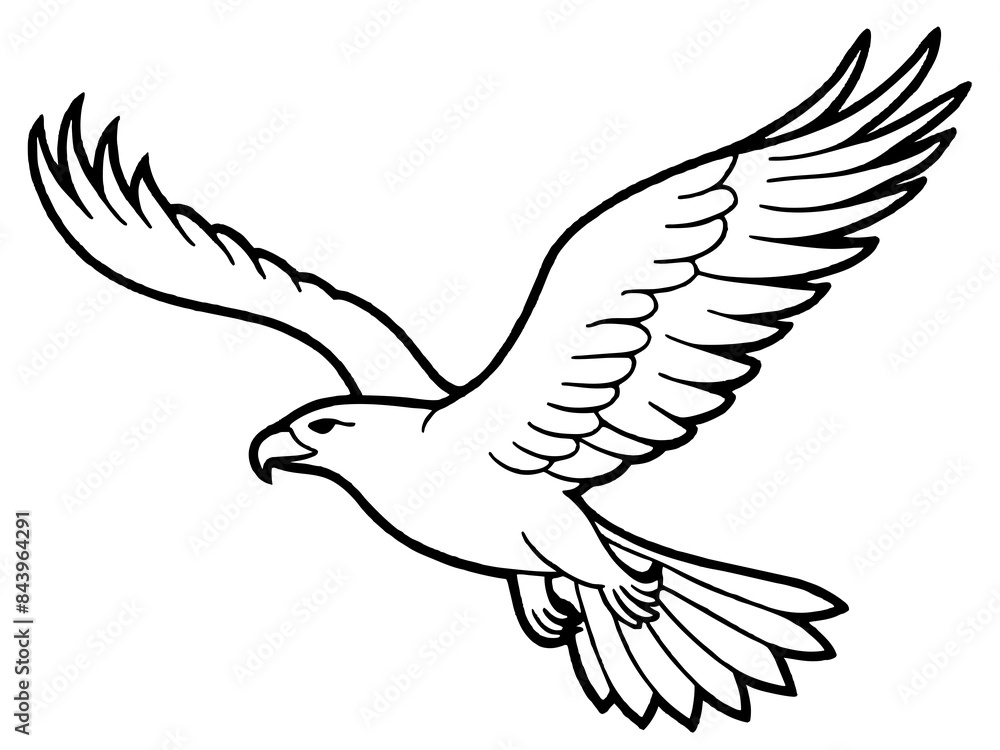 Fototapeta premium A majestic eagle soaring in the sky in line art style