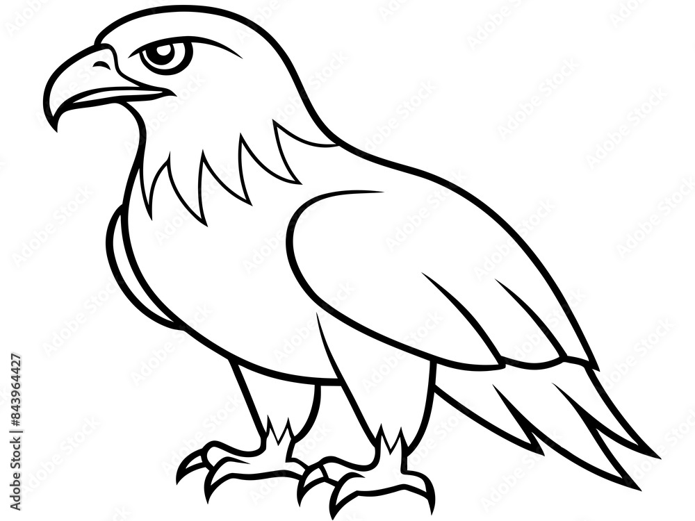 Fototapeta premium A fierce hawk with sharp talons in line art style
