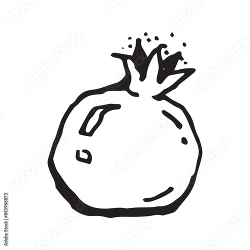 Pomegranate hand drawn vector illustration on isolated white