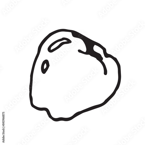 Quince fruit hand drawn vector illustration