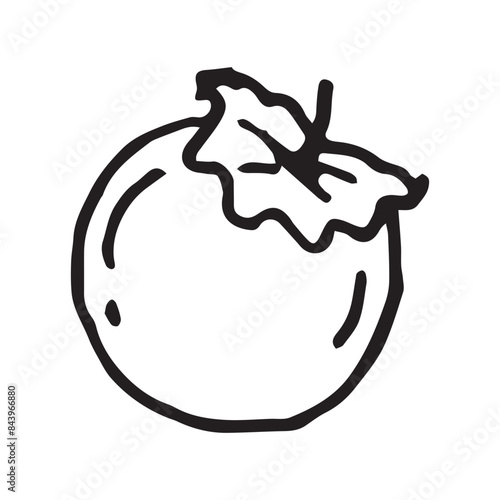 kinglet fruit hand drawn vector illustration