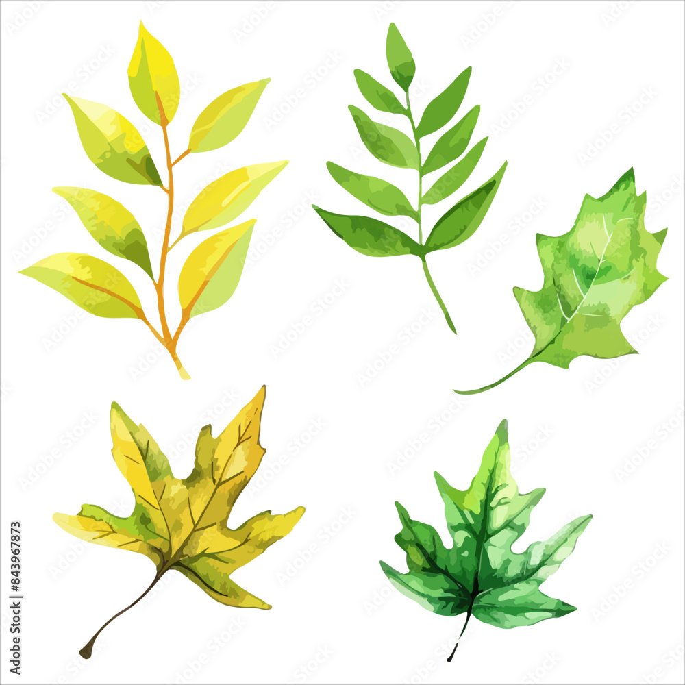 a set of four different colored leaves a set of four different colored leaves