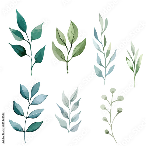 a set of four different leaves on a white background